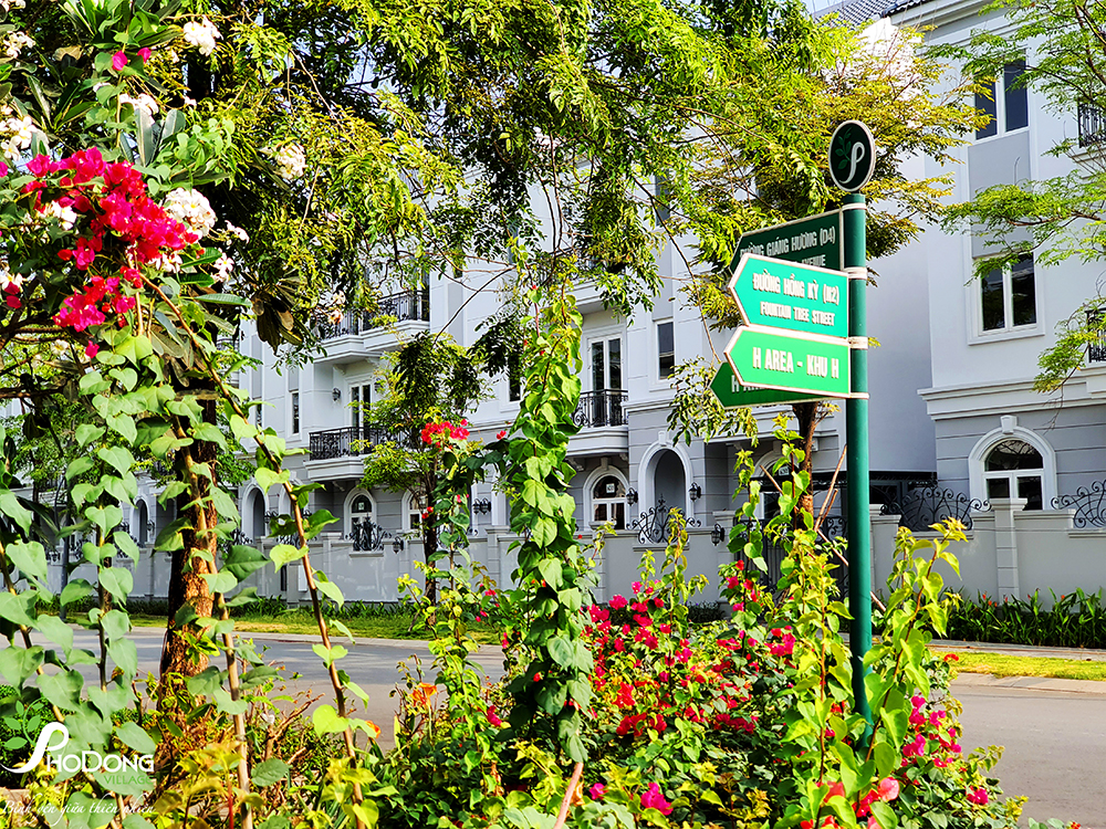 Phố Đông Village